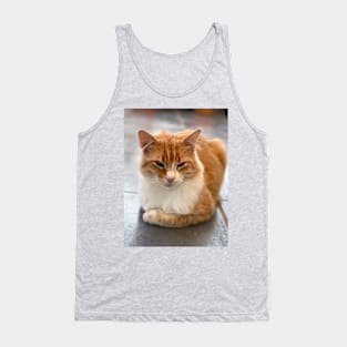 reverent young red-haired cat Tank Top